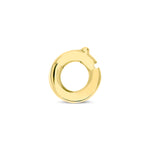 Resmi Galeri görüntüleyicisine yükleyin, Büyüleyici Çember